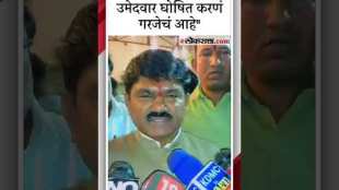 shivsena shinde group leader hemant godses reaction regarding lok sabha elections seats
