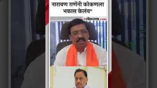 shivsena vinayak rauts reaction to narayan ranes statement that Konkan will make California