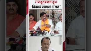 Sanjay Raut criticise Ajit Pawar over Baramati Loksabha