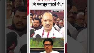 Ajit Pawars reaction on the Raj Thackerays support to Mahayuti for loksabha election