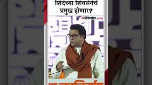 शिवसेनेबाबतच्या चर्चेवर राज ठाकरेंनी मांडली स्पष्ट भूमिका | Raj Thackeray