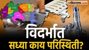 What is the current situation in Vidarbha loksabha election 2024
