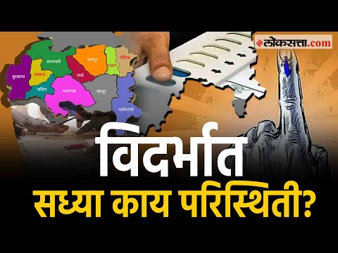 What is the current situation in Vidarbha loksabha election 2024