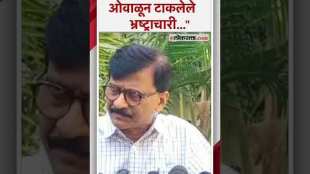 Sanjay Raut criticized Raj Thackeray over loksabha election bjp support