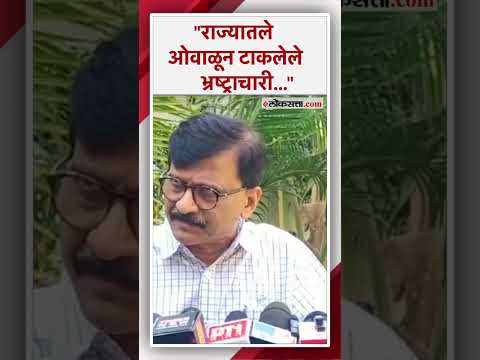 Sanjay Raut criticized Raj Thackeray over loksabha election bjp support