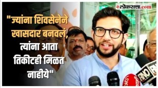 Aditya Thackeray criticized state government over loksabha election