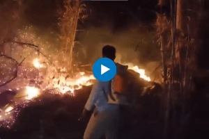 ifs officer parveen kaswan shares video of forester extinguishing terrible forest fire goes viral