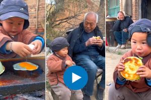 kid making sandwich for grandpa viral video