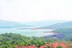 Drought in the state but plenty of water in Koyna dam