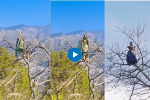woman dancing after on climbing a tree funny reels