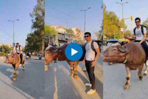 man riding on bull viral video