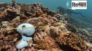 survival of marine species in danger due to ocean warming