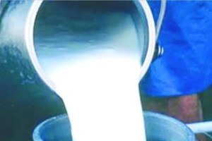 dairy industry in maharashtra