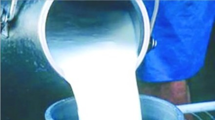 dairy industry in maharashtra