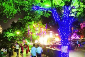 bmc, mumbai municipal corporation, Tree Lights, Citing Environmental Concerns, tree lights in mumbai, mumbai tree lights, bmc Orders Removal of Tree Lights, mumbai news, environment news, dangerous for insects, bmc news, marathi news,