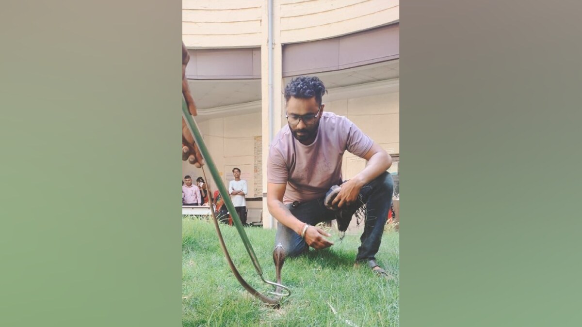 Nagpur, Snake at polling station, Snake Caught and Released, Snake in nagpur, snake in nagpur polling station, polling day, nagpur polling news, nagpur news, marathi news,
