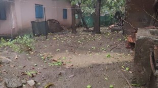 nashik, Unseasonal Rain, Damages Crops, 107 Villages, Nashik District, farmers, nashik Unseasonal Rain, 729 hecters, surgana, trimbakseshwar, baglan, peth, nashik, nashik news, unseasonal rain nashik