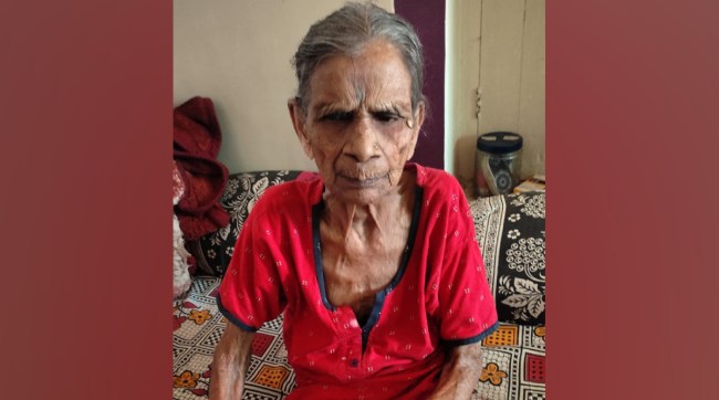 bhandara lok sabha seat, 106 Year Old Grandmother, casted Vote, polling station, bhandara voting, lok sabha 2024, bhandara news, election news, marathi news