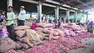 Central government confirms purchase of five lakh metric tonnes of onions from Maharashtra