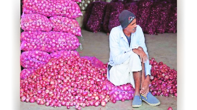 Dilemma of onion growers for 14 months in last five years