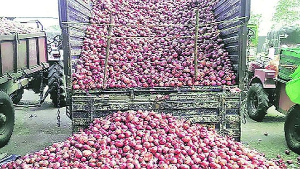 central Government, going to Purchase Onions from farmers, Five Lakh Metric Tonnes of Onion, 90 percent from Nashik, Rabi Season, Farmers Can Sell Directly, Pre Registration, election 2024, lok sabha 2024, onion buy government, onion news,