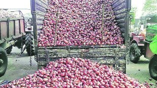 central Government, going to Purchase Onions from farmers, Five Lakh Metric Tonnes of Onion, 90 percent from Nashik, Rabi Season, Farmers Can Sell Directly, Pre Registration, election 2024, lok sabha 2024, onion buy government, onion news,