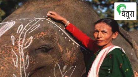 parbati barua, elephant, Hasti Kanya, Gauripur, Assam, mahout