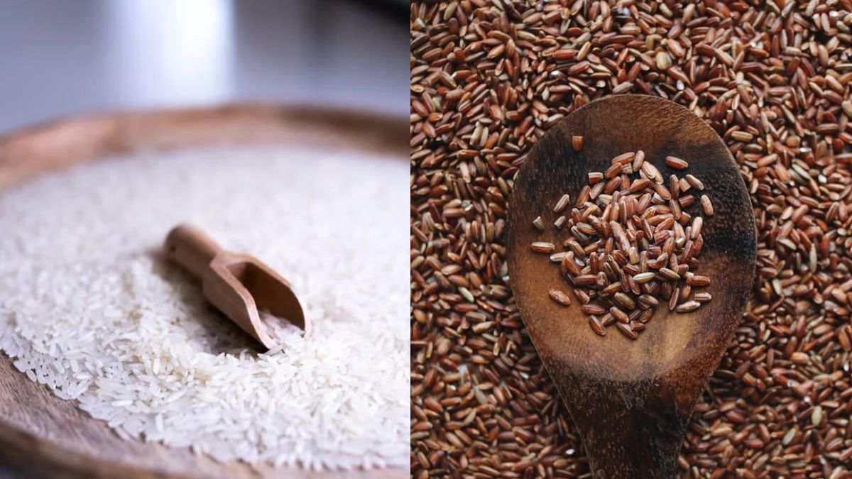 Brown Rice or White Rice