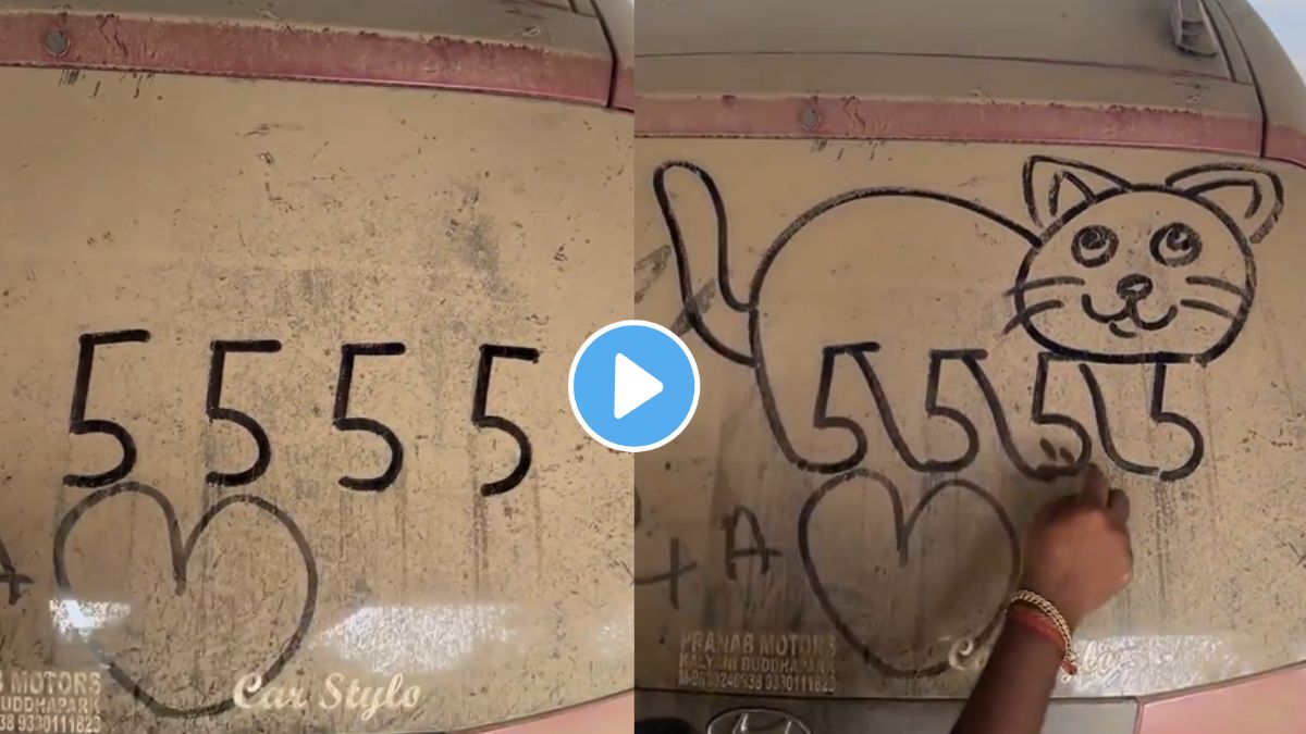 How to draw a cat using 5 four times