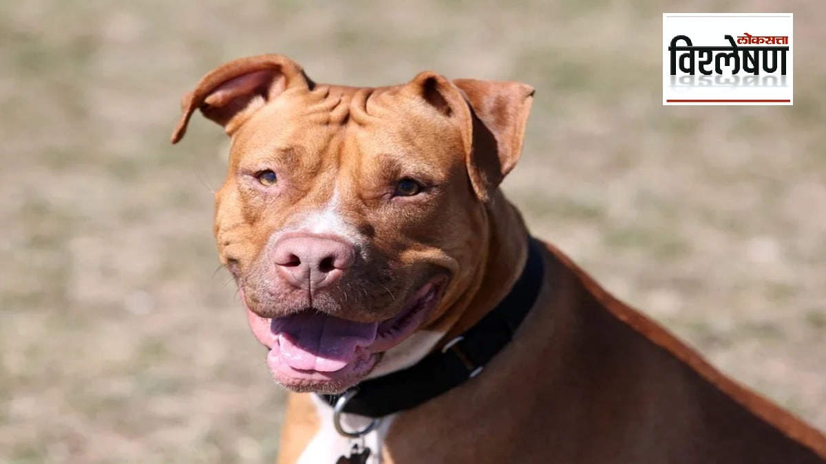 Why has the government banned 23 dangerous dogs in the country