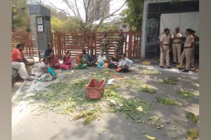 Vendors throw vegetables, Protest against nmc, Nashik Municipal Corporation, Demand Space for Business, nashik news, vendors protest news, marathi news, protest in nashik,