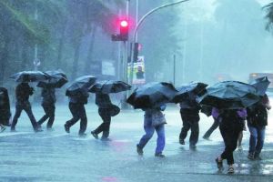 Heavy rain expected in the next 24 hours