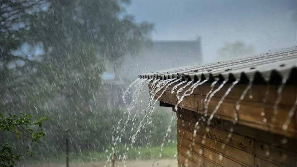 दत्ता जाधव possibility of light rain across maharashtra for four days from 5 april