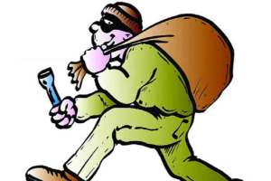 Pune, man theft, theft in Neighbor house,
