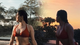 Sanya Malhotra bikini look martial arts photos viral on social media