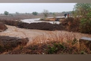 Solapur District, Unseasonal Rain, Winds, Damage, lightning, one girl and 2 animals died, Unseasonal Rain in Solapur, solapur unseasonal rain, damage crops, farmers, solapur news,
