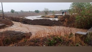 Solapur District, Unseasonal Rain, Winds, Damage, lightning, one girl and 2 animals died, Unseasonal Rain in Solapur, solapur unseasonal rain, damage crops, farmers, solapur news,