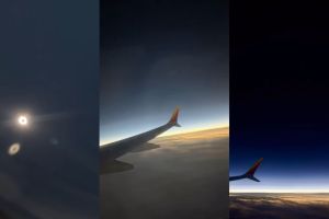 solar eclipse 2024 viral video