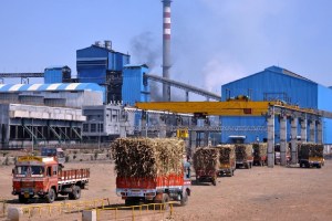 Loksatta editorial Government bans sugar mills from producing ethanol