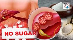 तुम्ही खाल्लेली साखर, फळे, हवाबंद पदार्थ यकृतावर कसा परिणाम करतात? डॉक्टरांनी सांगितलं, ‘साखरेच्या कराचं’ महत्त्व