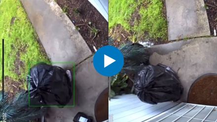 thief disguised as garbage bag funny viral video