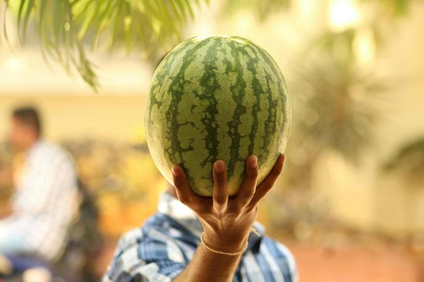 watermelon-peel-seeds-health-benefits
