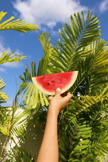 watermelon-peel-seeds-health-benefits