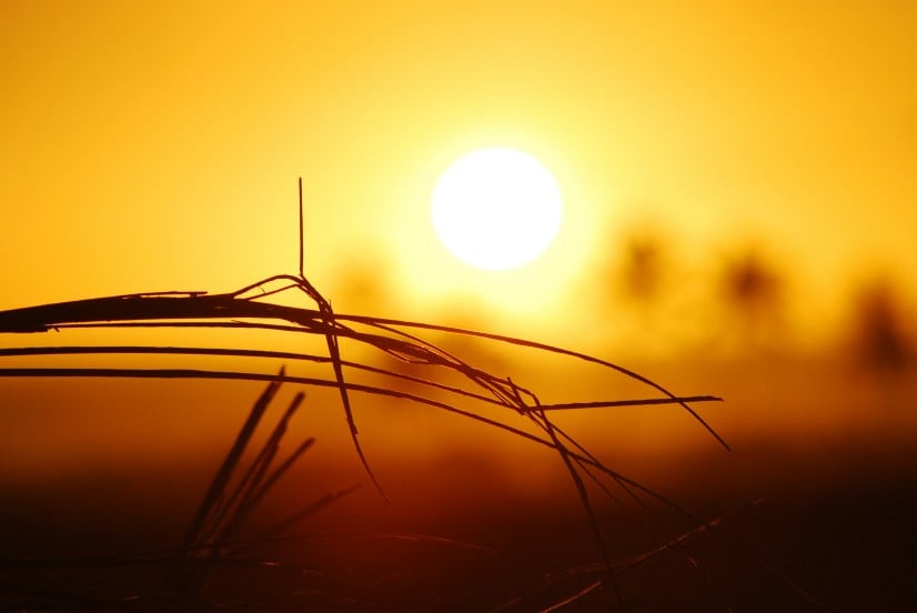 Summer-2024-sun-stroke-sun-tan