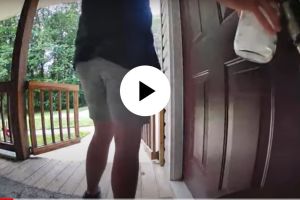 snake attack on a man wrap around door handle