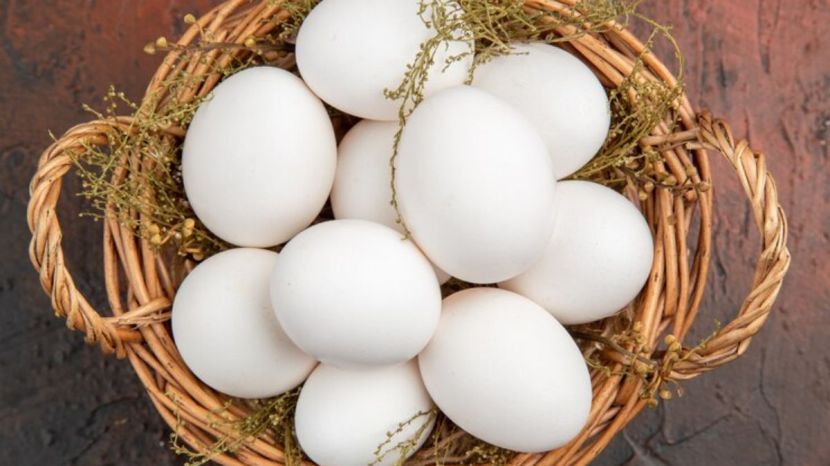 benefits of eating eggs in summer