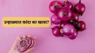 why should eat onion in summer