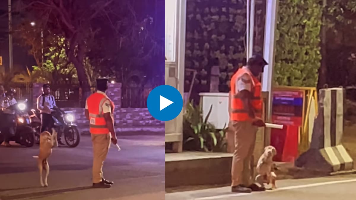 A busy traffic cop his furry friend and a lot of love. Viral video is a must-watch