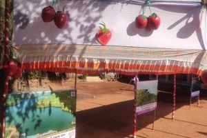Discount on food by showing voting ink at Mahabaleshwar Panchgani tourist spot