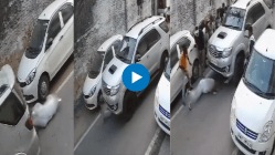 “नजर हटी, दुर्घटना घटी!” रिव्हर्स घेताना थेट व्यक्तीच्या अंगावर घातली कार अन्….थरारक अपघात CCTVमध्ये कैद!